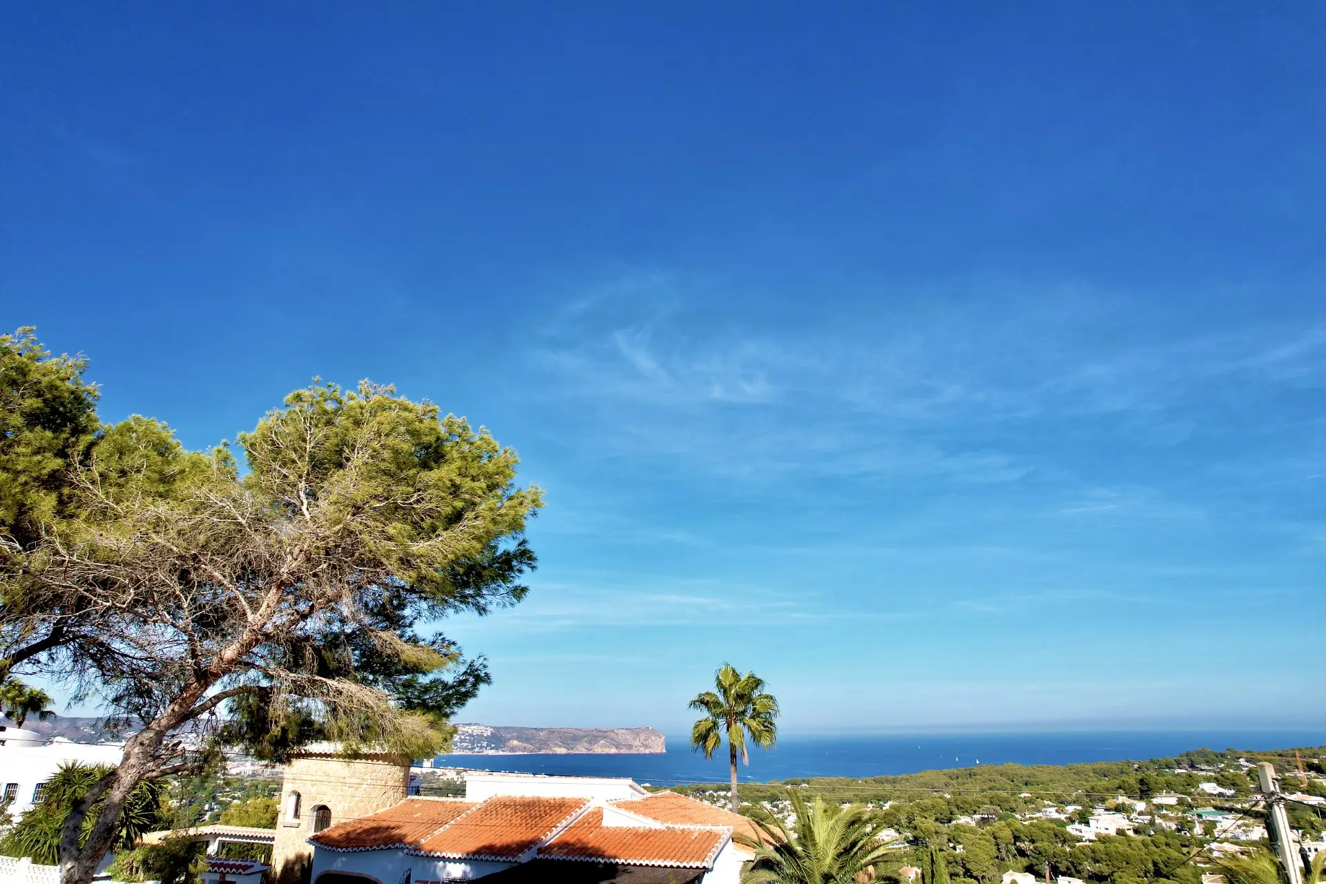 Beautiful scenery in Javea, Alicante, with terracotta rooftops, pine trees, and a palm tree against a blue sky.