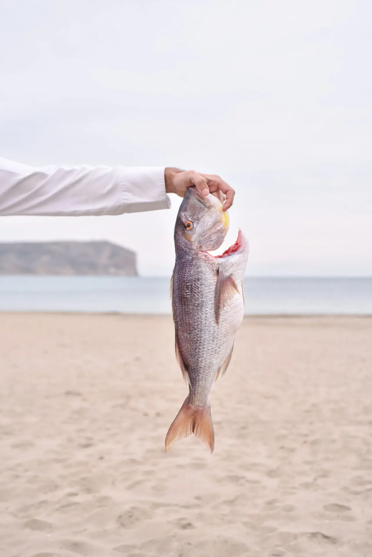 Hand holding a freshly caught fish (possibly red snapper) on a sandy beach in Javea, with the sea in the background.